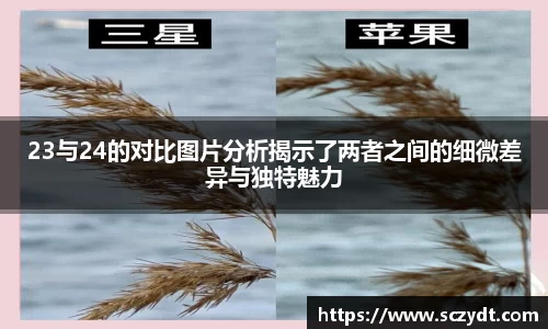 OE欧亿官网