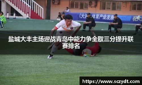 盐城大丰主场迎战青岛中能力争全取三分提升联赛排名